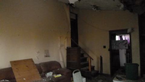 where are the dogs? photo 2