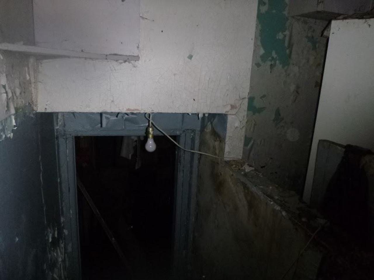 dog house - P1010264.jpg