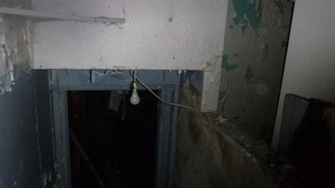 where are the dogs? photo 4