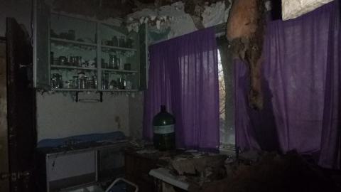 where are the dogs? photo 5