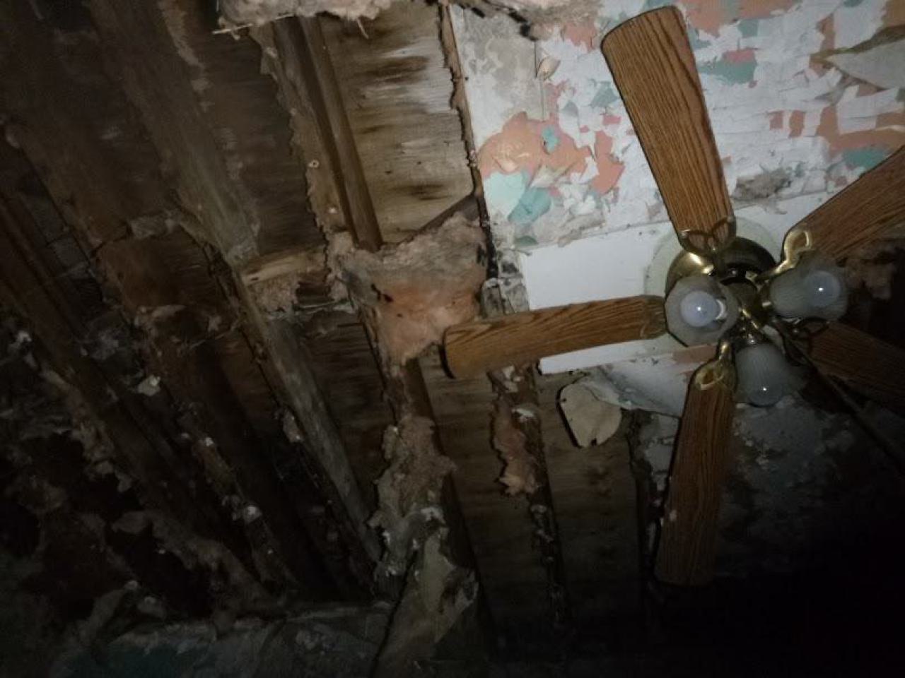 dog house - P1010268.jpg