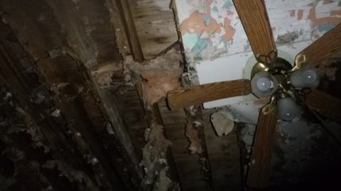 dog house - P1010268.jpg