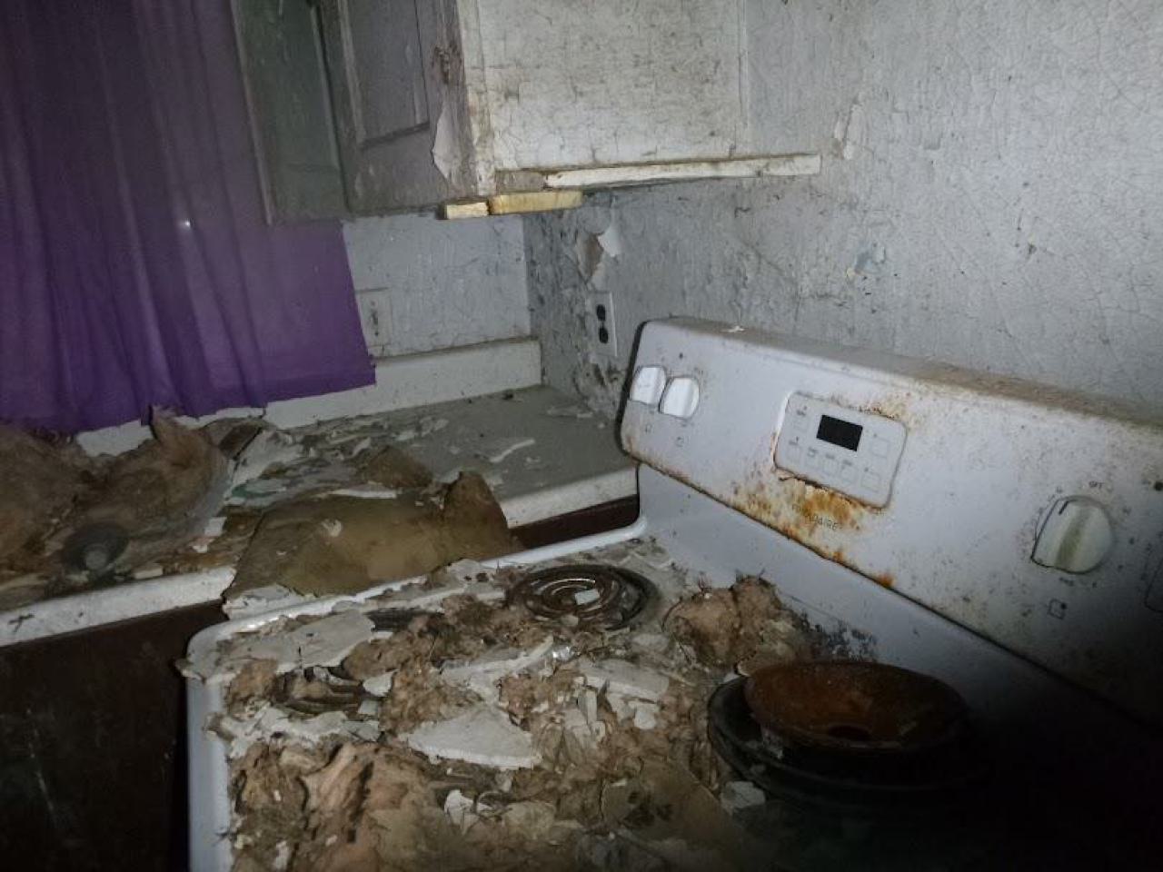 dog house - P1010269.jpg