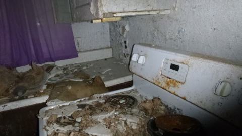 dog house - P1010269.jpg