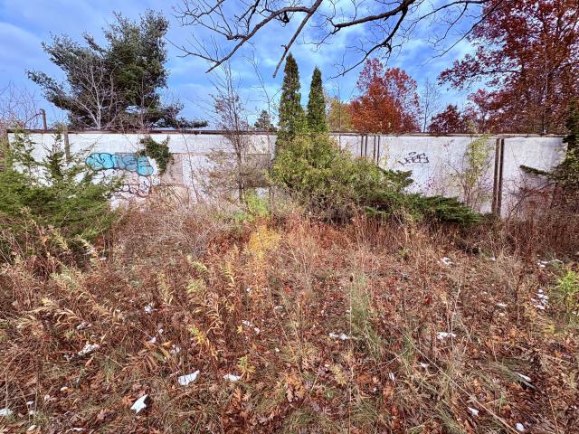 November 12, 2025 - IMG_9265.jpg