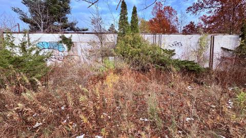 November 12, 2025 cover photo