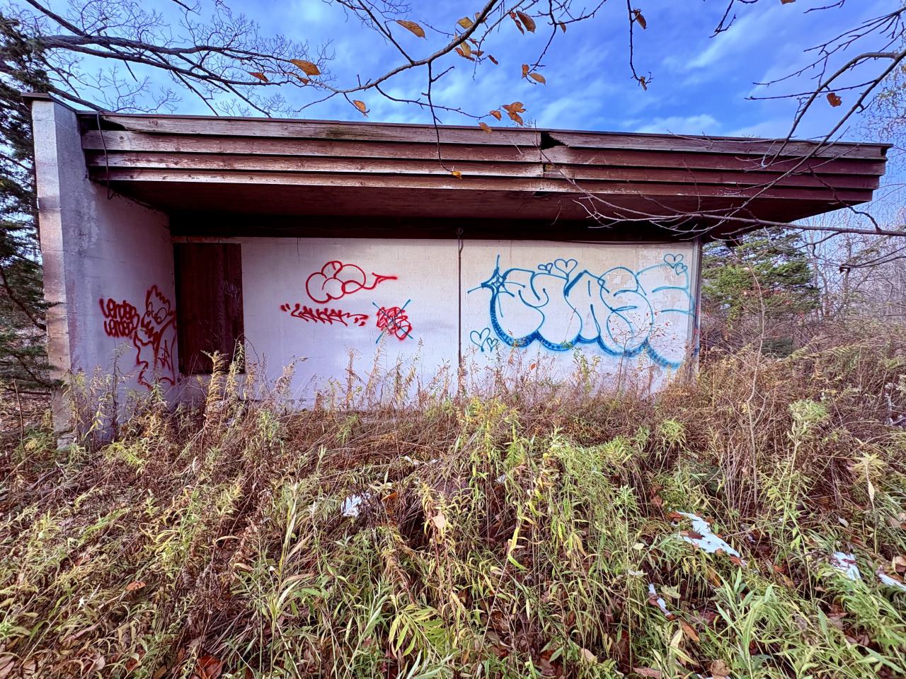 November 12, 2025 - IMG_9266.jpg