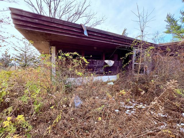 November 12, 2025 - IMG_9267.jpg