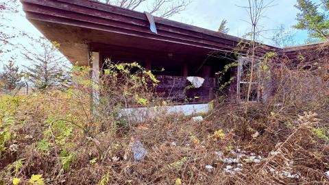 November 12, 2025 - IMG_9267.jpg