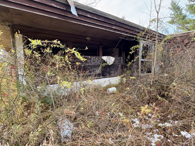 November 12, 2025 - IMG_9268.jpg