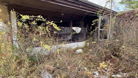 November 12, 2025 - IMG_9268.jpg