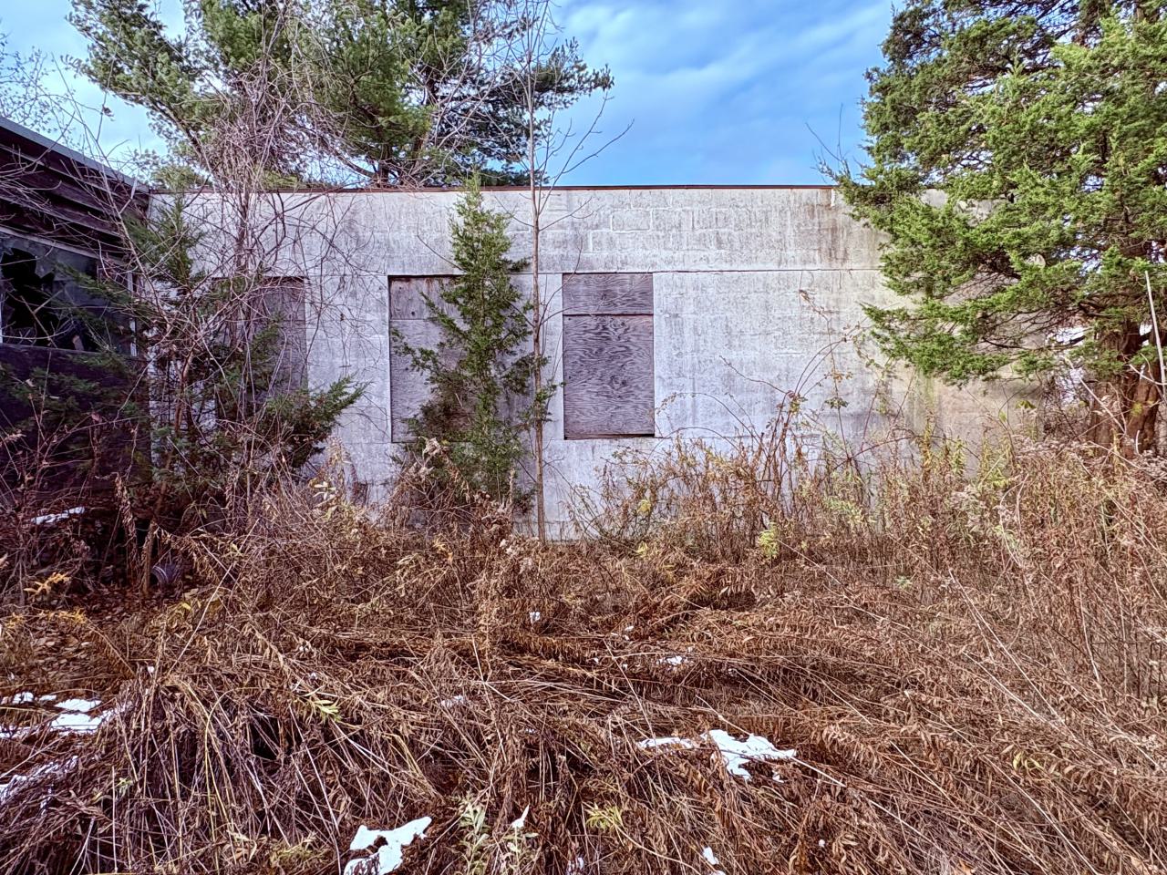 November 12, 2025 - IMG_9270.jpg