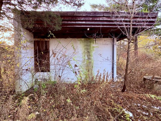 November 12, 2025 - IMG_9271.jpg