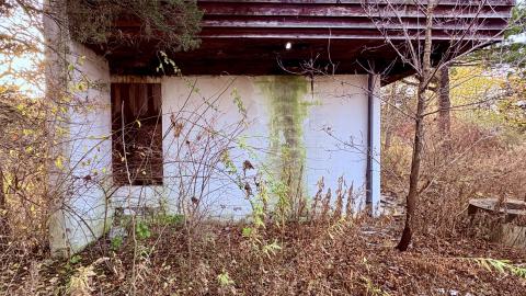 November 12, 2025 - IMG_9271.jpg