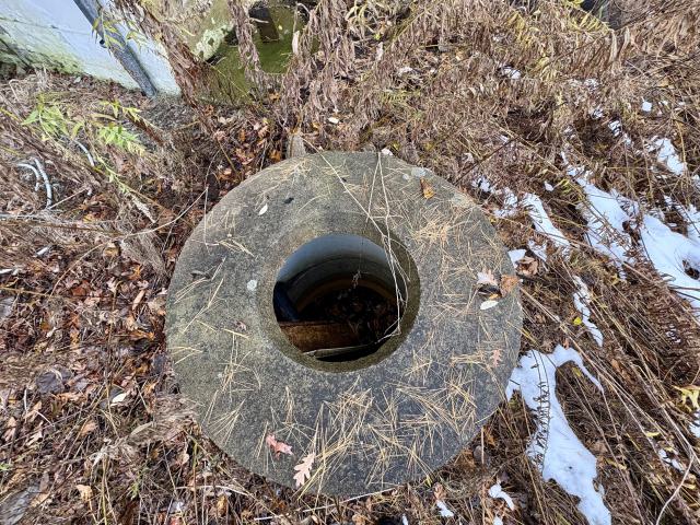 November 12, 2025 - IMG_9272.jpg