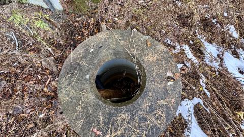 November 12, 2025 - IMG_9272.jpg