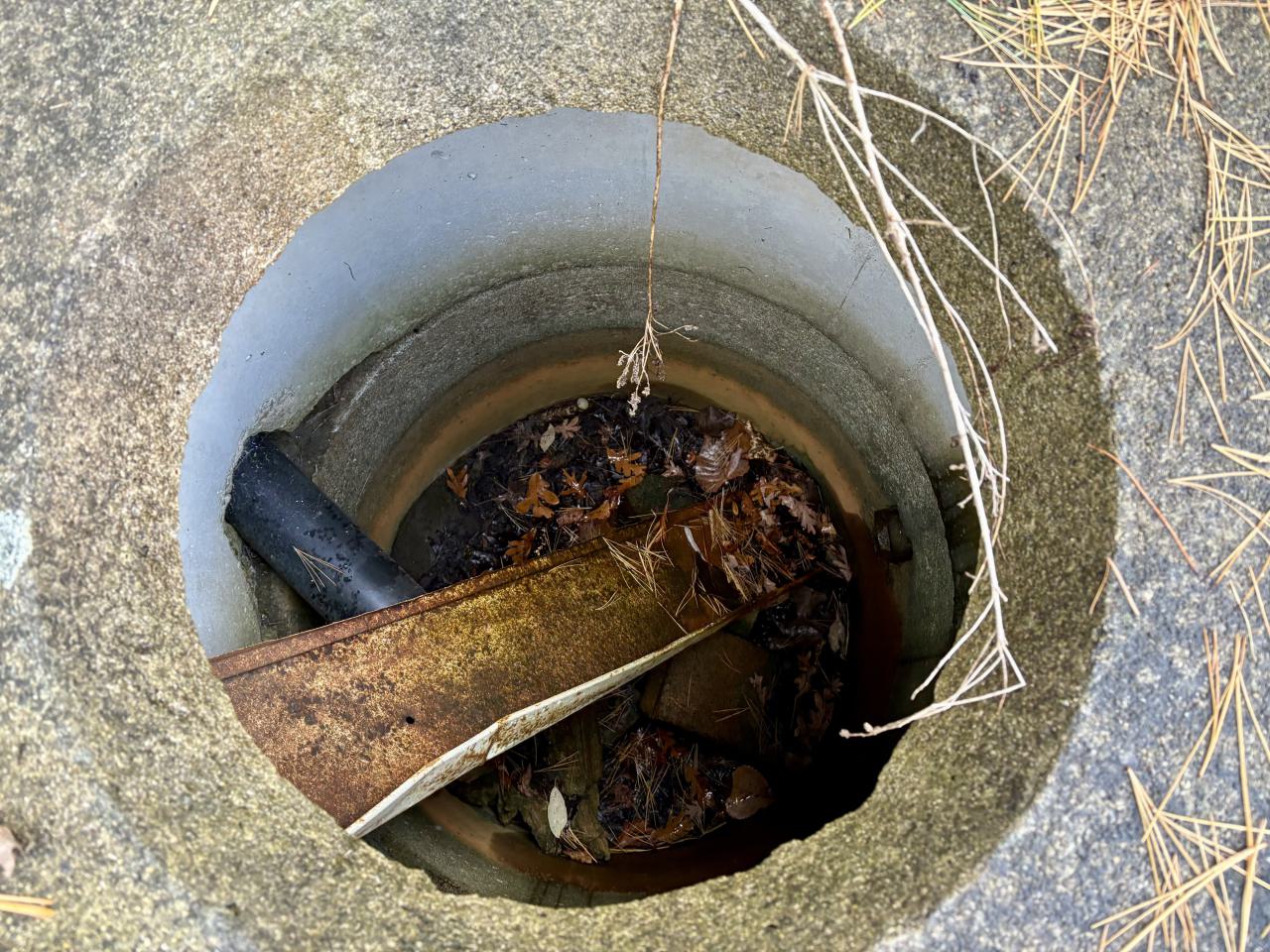 November 12, 2025 - IMG_9273.jpg