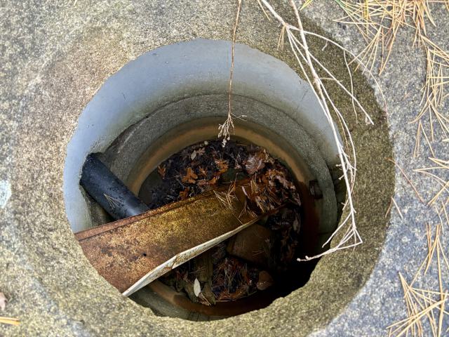 November 12, 2025 - IMG_9273.jpg