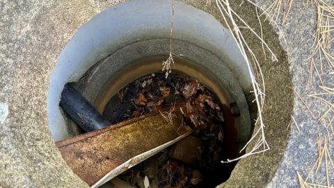 November 12, 2025 - IMG_9273.jpg