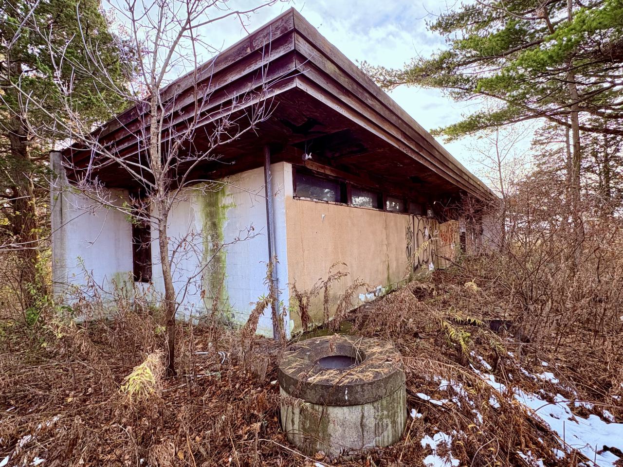 November 12, 2025 - IMG_9275.jpg