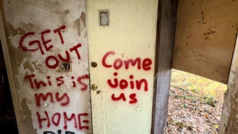 November 12, 2025 - IMG_9278.jpg