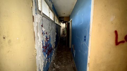 November 12, 2025 - IMG_9281.jpg