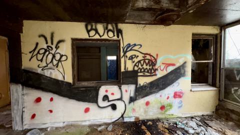 November 12, 2025 - IMG_9286.jpg