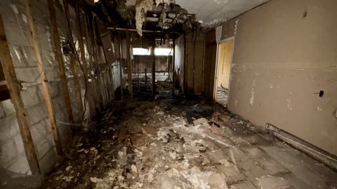 Photo from November 12, 2025