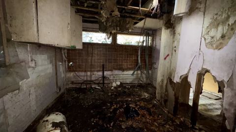 November 12, 2025 - IMG_9292.jpg