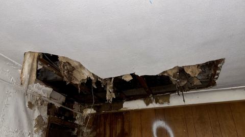 November 12, 2025 - IMG_9303.jpg