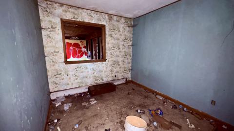 November 12, 2025 - IMG_9309.jpg