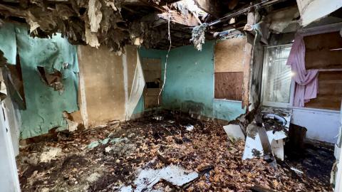 November 12, 2025 - IMG_9317.jpg