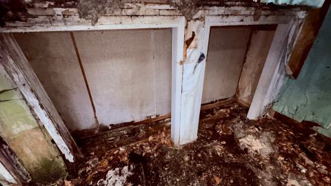 November 12, 2025 - IMG_9318.jpg