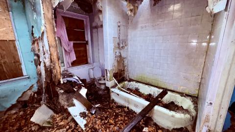 November 12, 2025 - IMG_9319.jpg