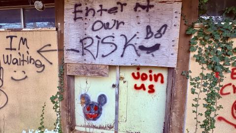 November 12, 2025 - IMG_9321.jpg