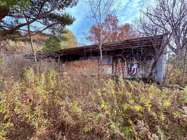 November 12, 2025 - IMG_9322.jpg