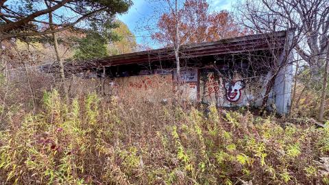 November 12, 2025 - IMG_9322.jpg