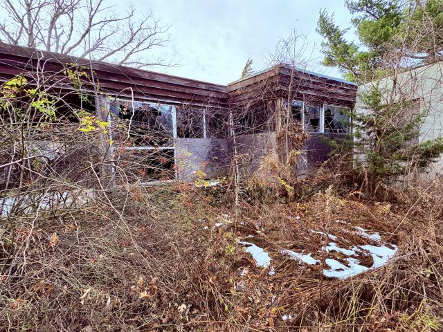 November 12, 2025 - IMG_9328.jpg