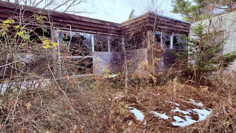 November 12, 2025 - IMG_9328.jpg