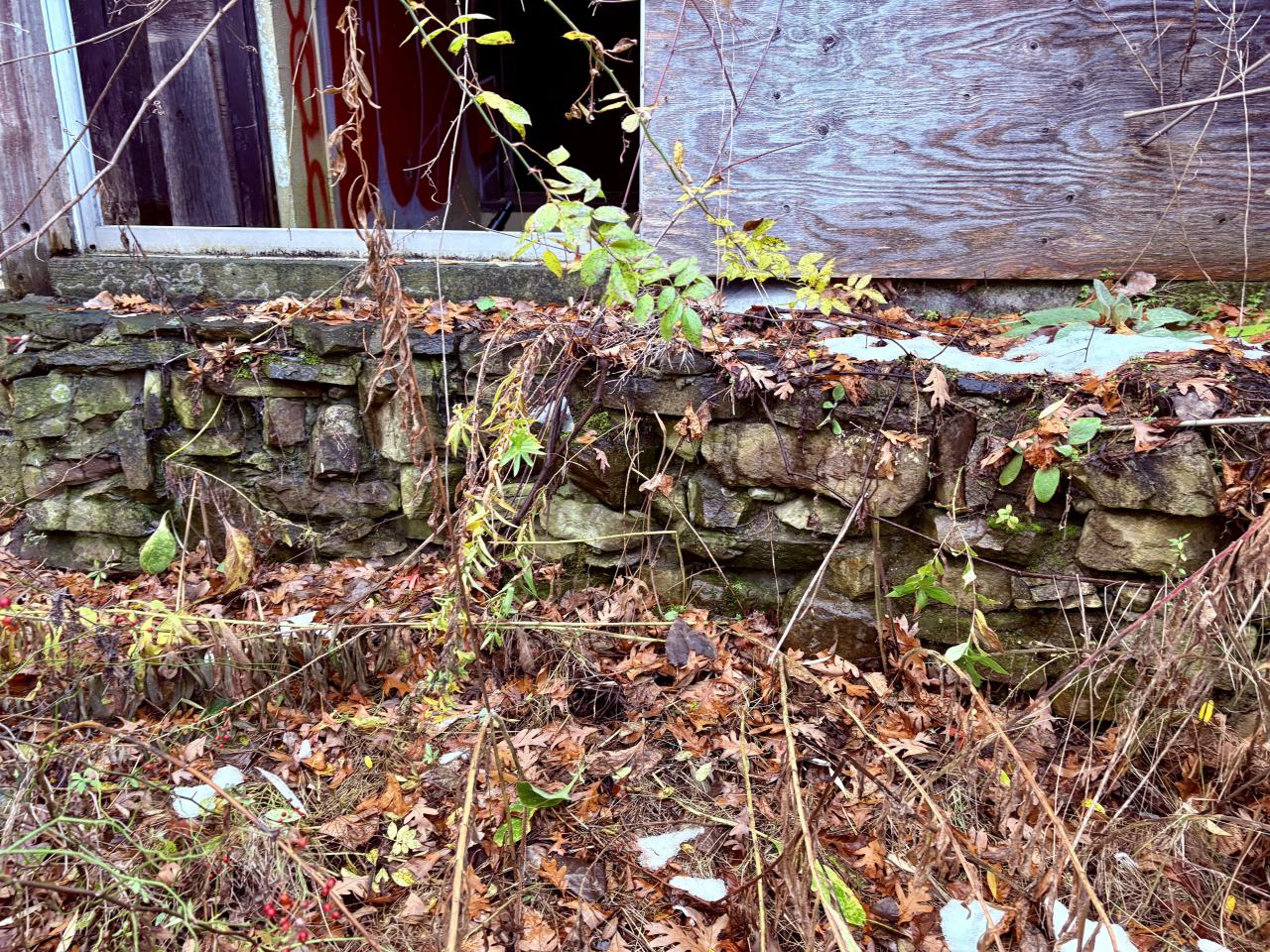 November 12, 2025 - IMG_9329.jpg