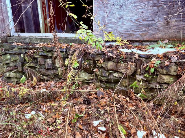 November 12, 2025 - IMG_9329.jpg