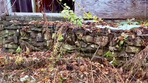 November 12, 2025 - IMG_9329.jpg