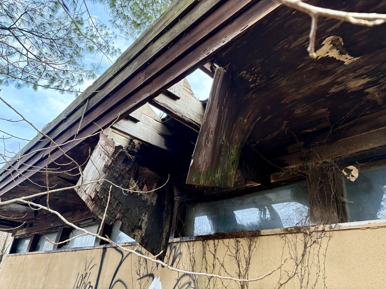 November 12, 2025 - IMG_9333.jpg