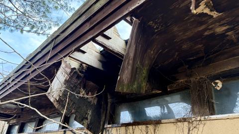 November 12, 2025 - IMG_9333.jpg