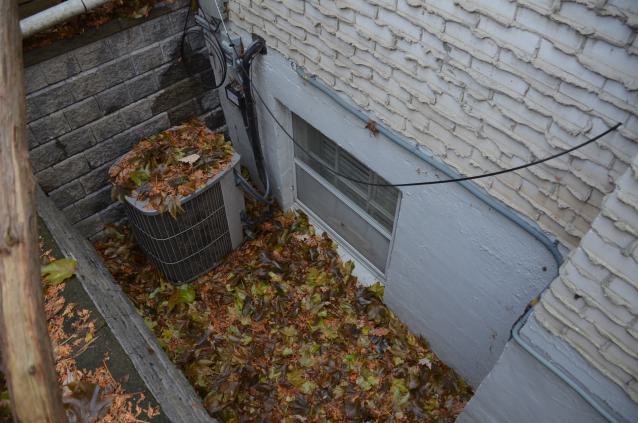 Grey Gerald Manor photo 3