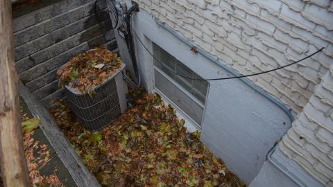 Lawrence Park Development: Coming Soon - DSC_0633.JPG