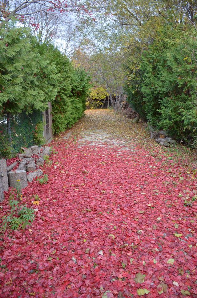 Grey Gerald Manor photo 4