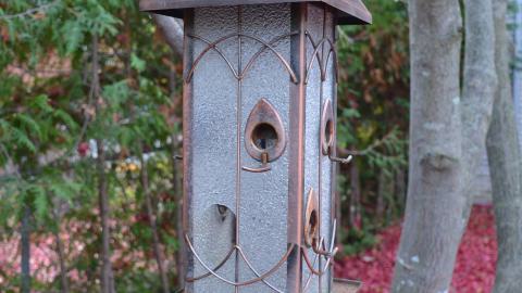 Lawrence Park Development: Coming Soon - DSC_0625.JPG