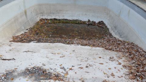 Lawrence Park Development: Coming Soon - DSC_0614.JPG