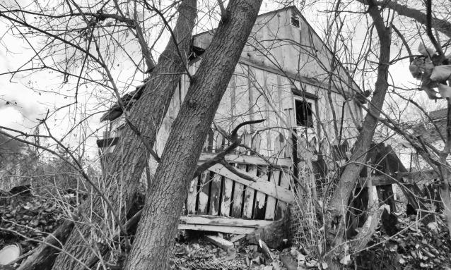 Under Noisy Wind Cover - IMG_4789X.jpg